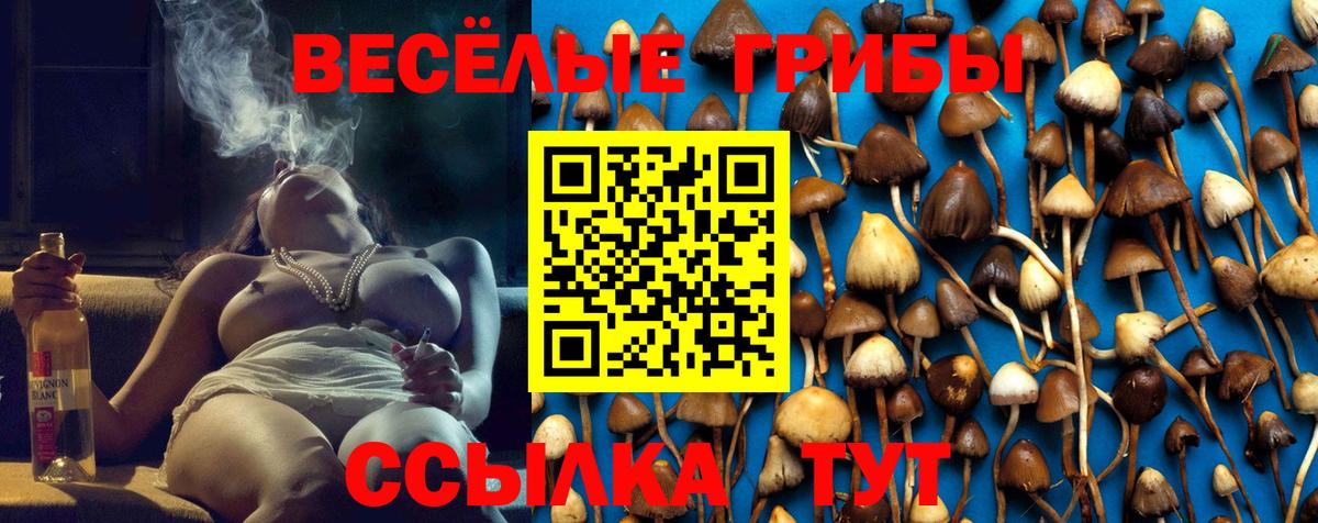 как найти наркотики  Вход с VPN  Азнакаево  Галлюциногенные грибы Psilocybine cubensis 